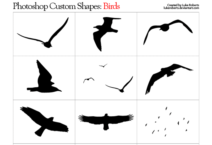 Custom Shapes: Birds