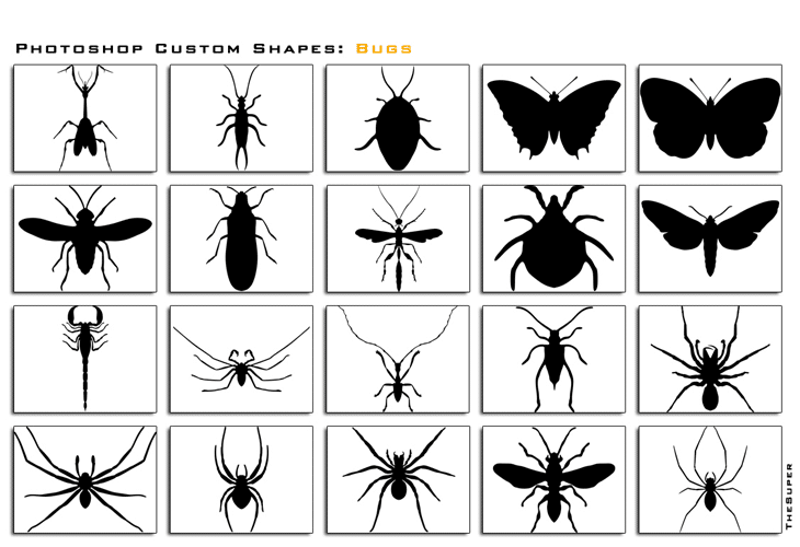 Photoshop Custom Shapes Bugs