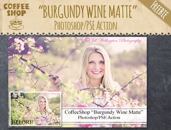 Burgundy Wine Matte Photoshop Action