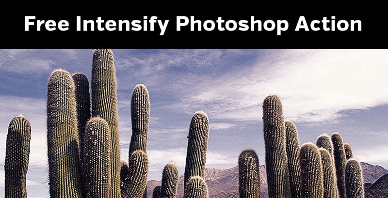 Free Intensify Photoshop Action