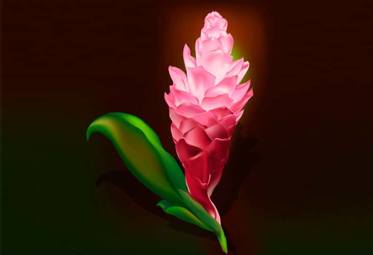 30 Latest Adobe Illustrator Tutorials