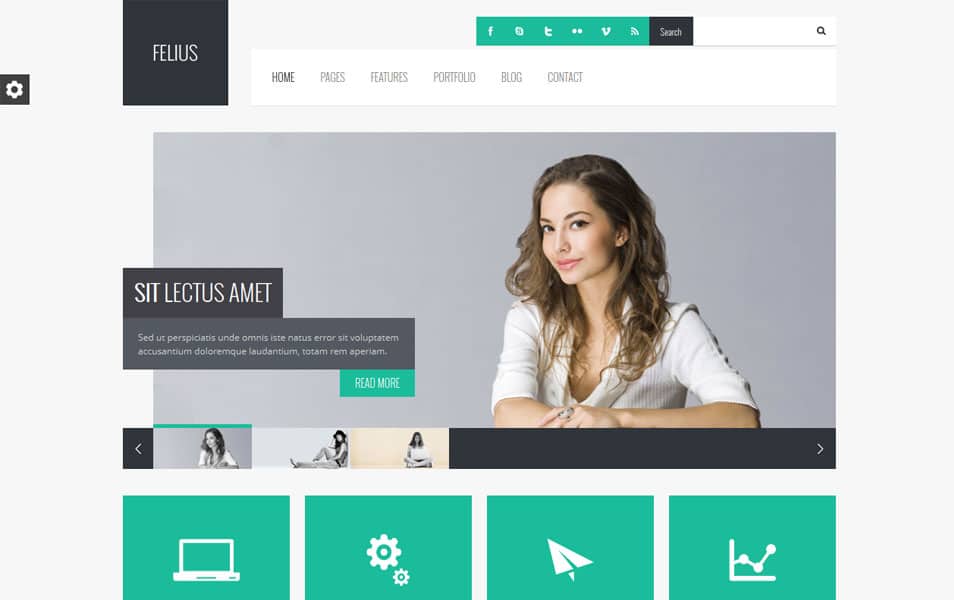 Felius - Responsive Multipurpose WordPress Theme