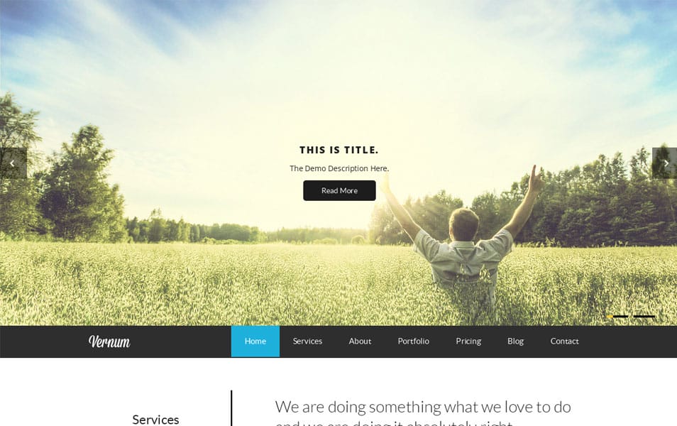 Vernum-Responsive OnePage Parallax WordPress Theme