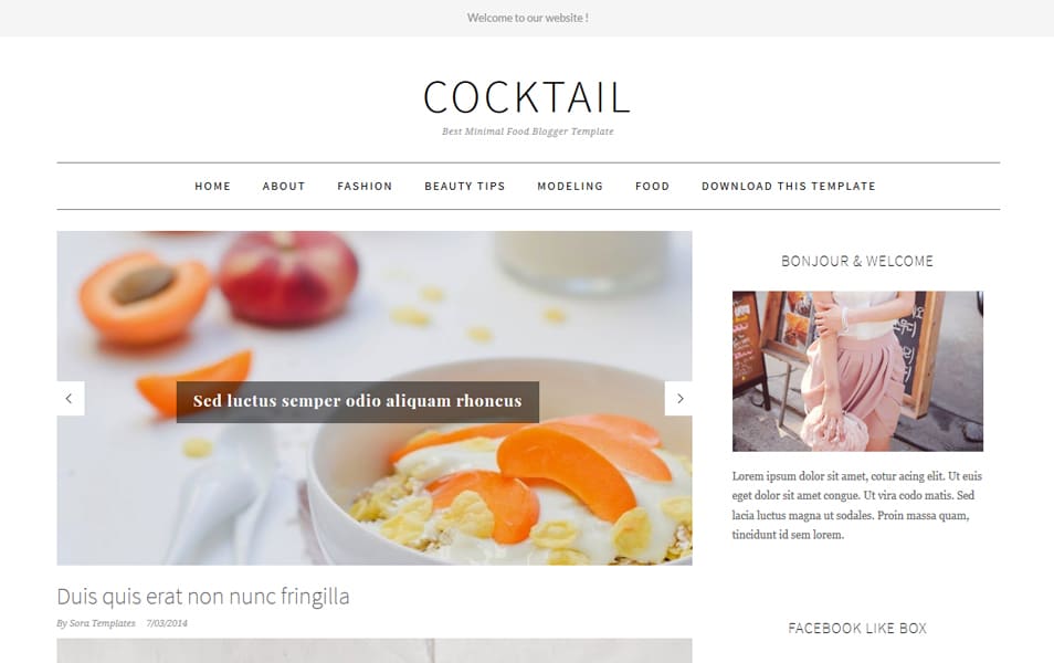 CockTail Minimal Food Blogger Template