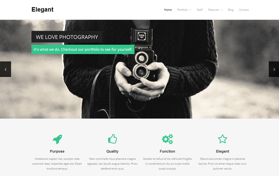 Elegant Free Portfolio WordPress Theme