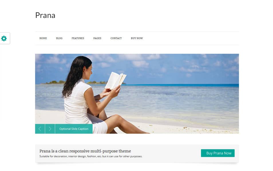 Prana Free Portfolio WordPress Theme