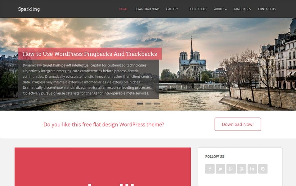 Sparkling Free Portfolio WordPress Theme