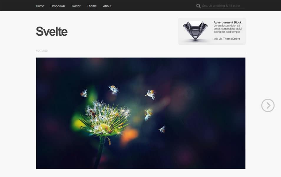 Svelte Free Portfolio WordPress Theme