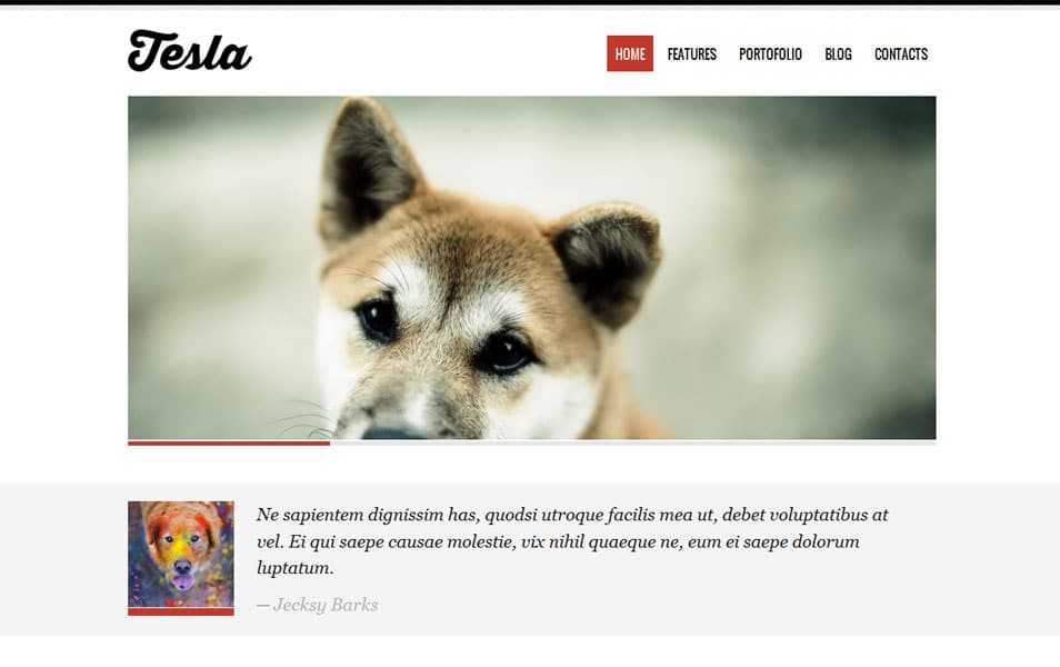 Tesla Free Portfolio WordPress Theme