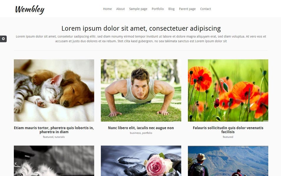 Wembley Free Portfolio WordPress Theme