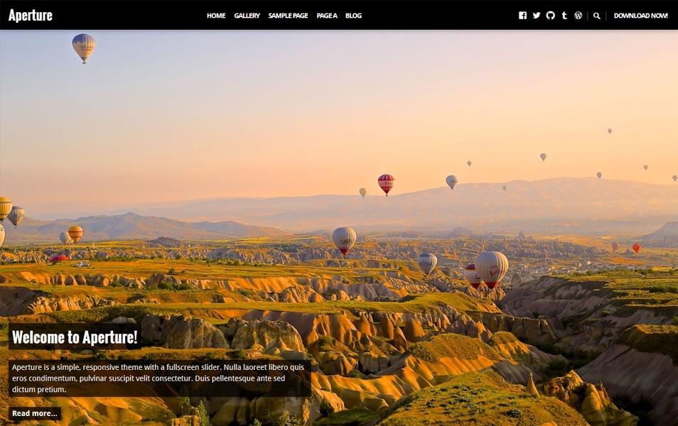 Aperture Responsive WordPress Theme