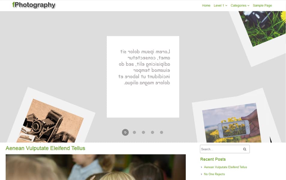 fPhotography Responsive WordPress Theme