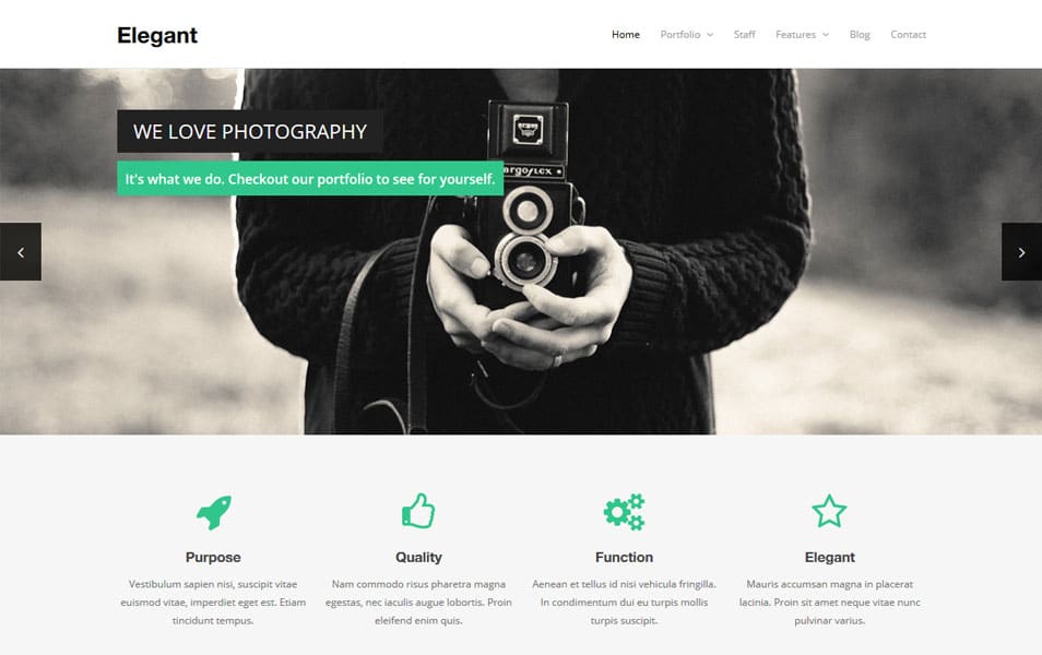 Elegant Free WordPress Theme