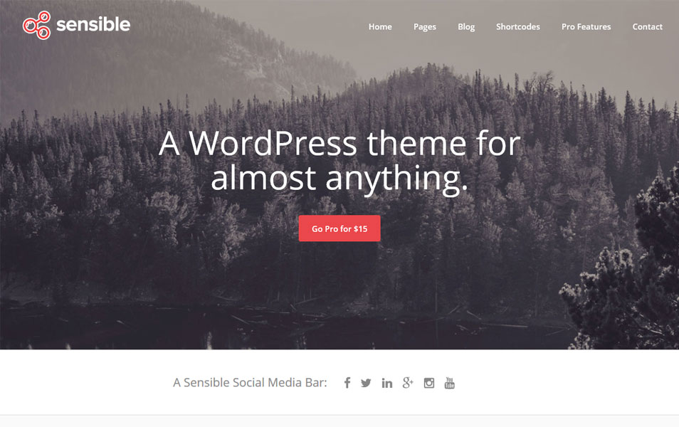 Sensible WordPress Theme