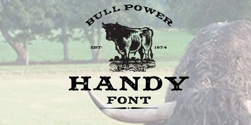 Download Best Free Retro Fonts For Designers Css Author SVG Cut Files