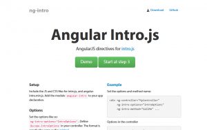 create angular js project