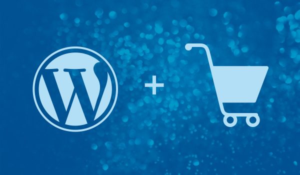 eCommerce WordPress Themes