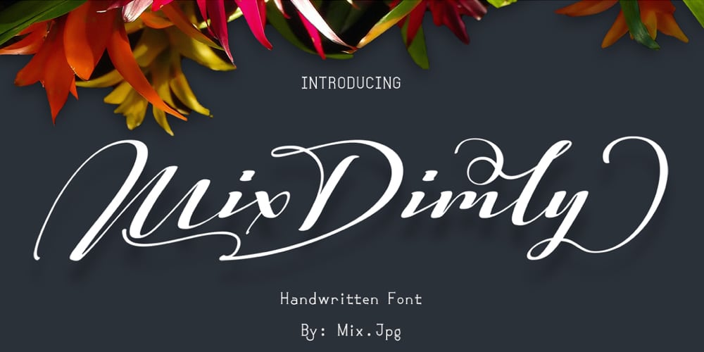 Download Bbe2k6 Wnjwdfm SVG Cut Files