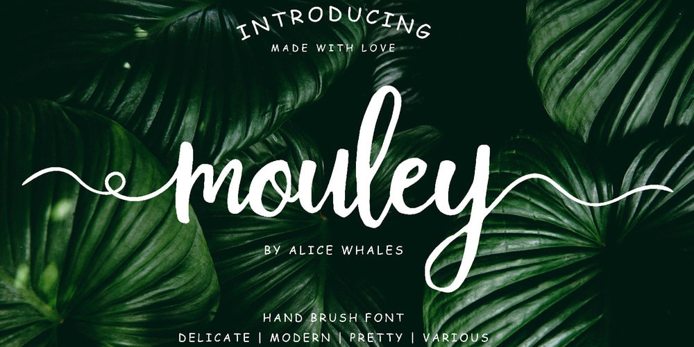 Free Moonbringht Script Fonts