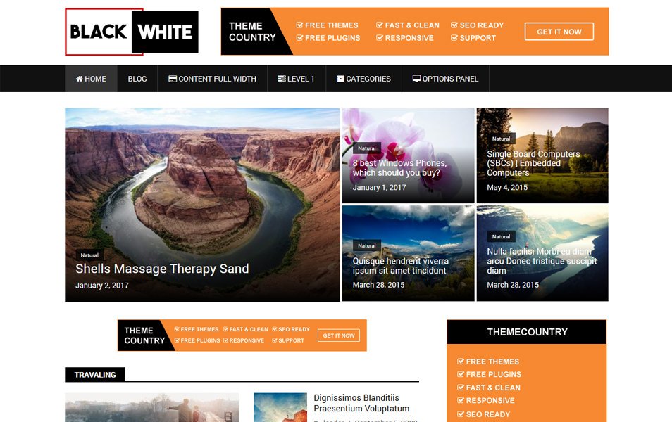 BlackWhite Lite Responsive WordPress Theme