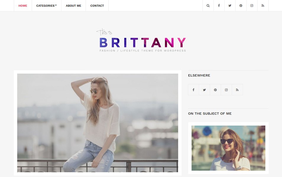 Brittany Light Responsive WordPress Theme