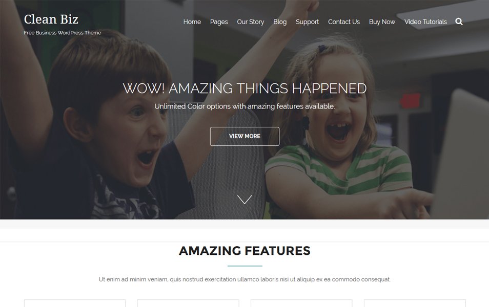 Clean Biz Responsive WordPress Theme