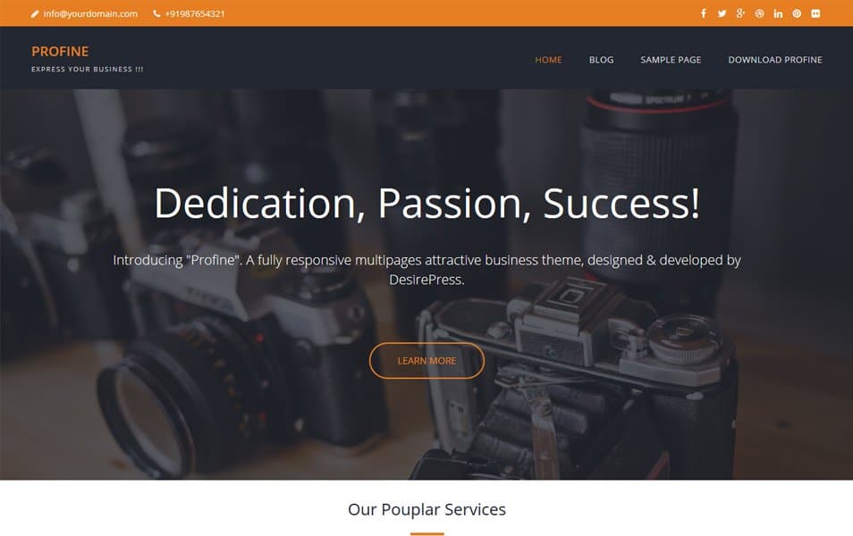 Profine Responsive WordPress Theme