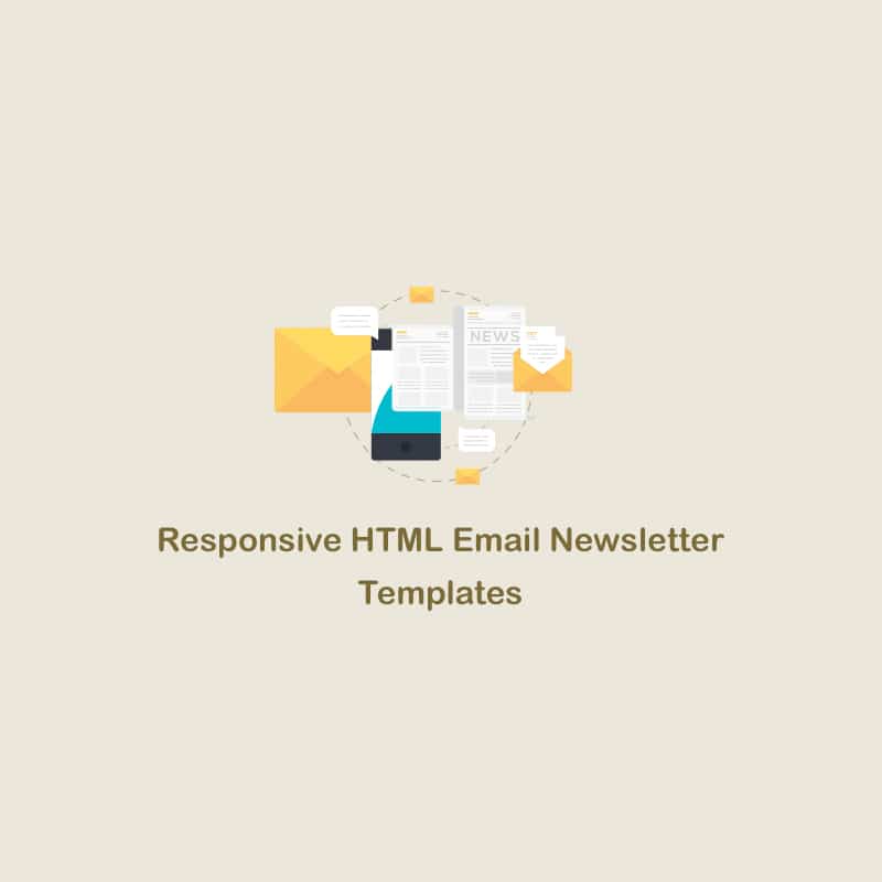 Free Education HTML Website Templates » CSS Author