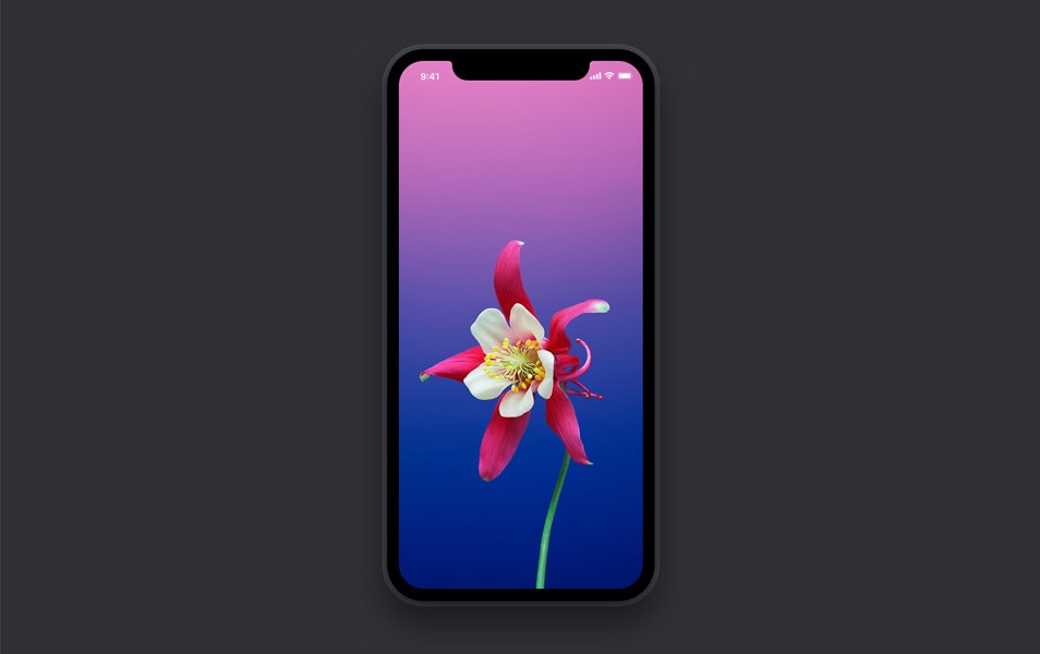 Simple iPhone X Mockup