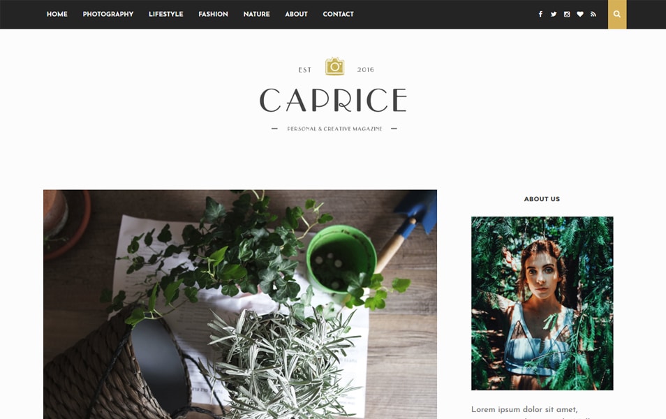 Caprice Responsive Blogger Template