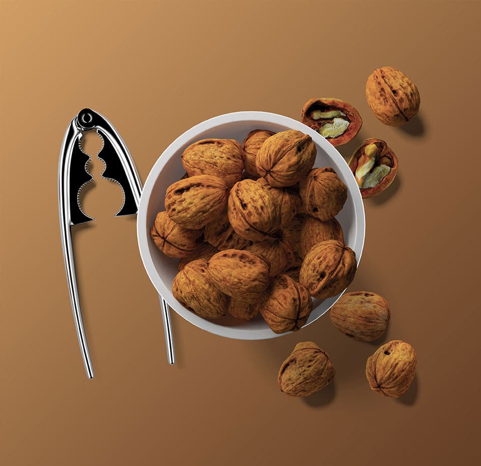 Download Walnuts Free PSD Mockup » CSS Author