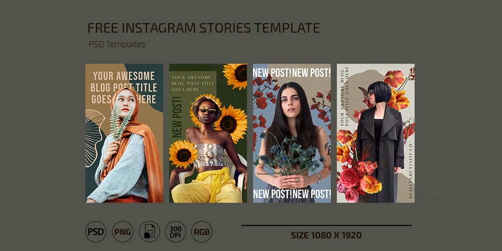 100+ Best Instagram Templates To Gain More Followers