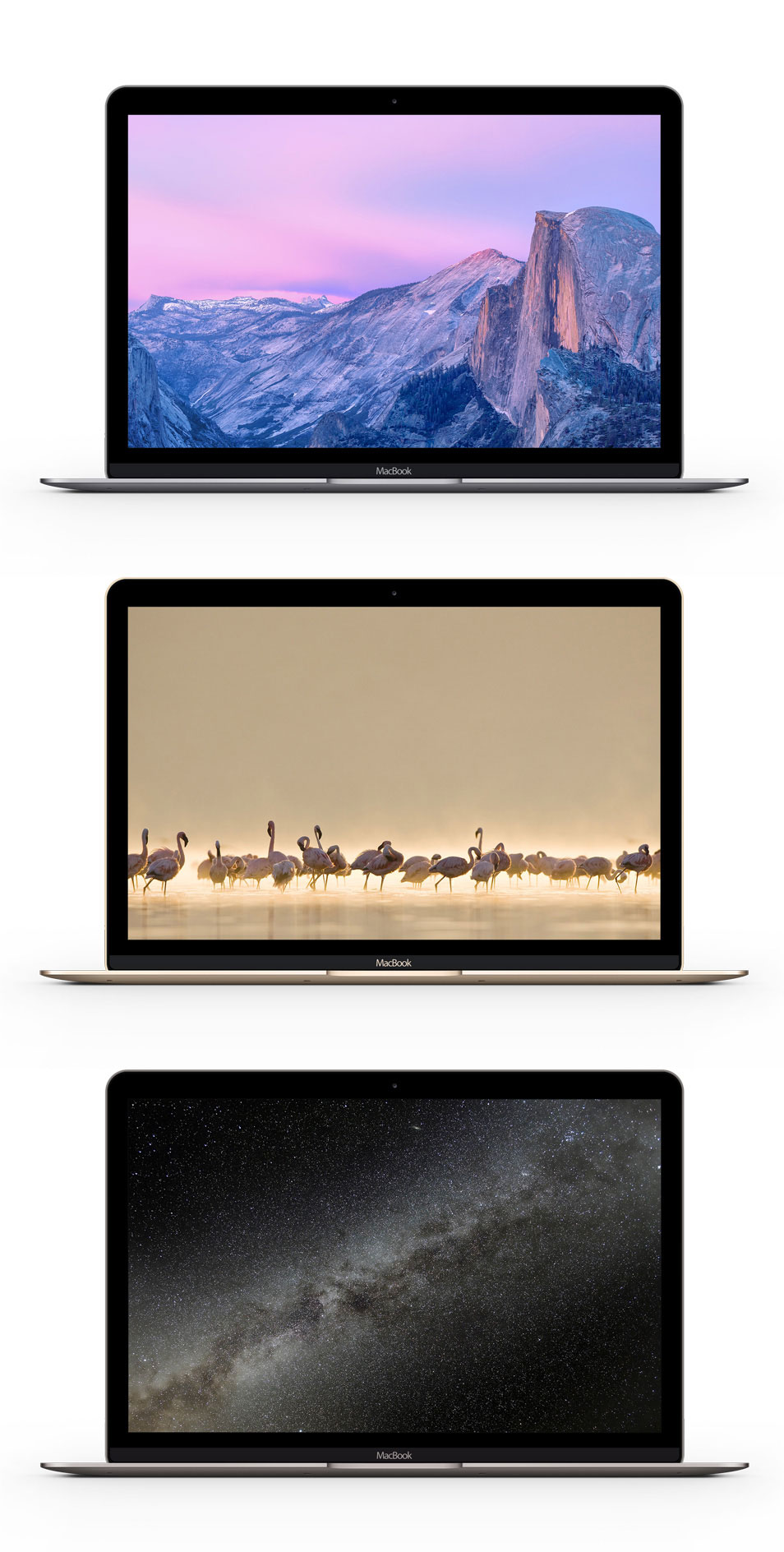 Download The New MacBook PSD Mockup » CSS Author
