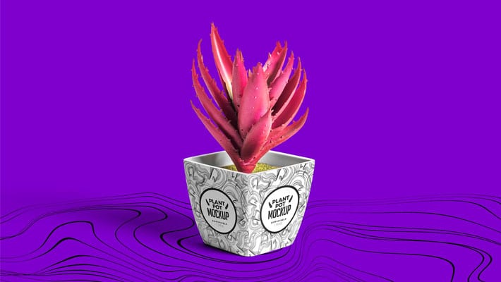 free plant pot mockup » css author