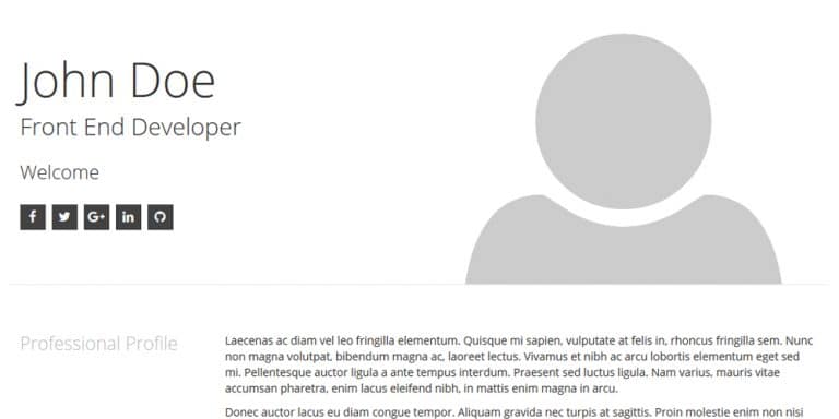 20+ Free HTML Resume Templates 2020 » CSS Author