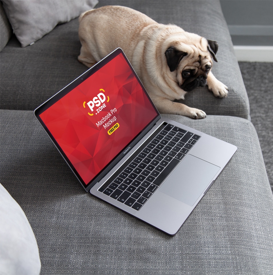 Download MacBook Pro In Living Room Mockup » CSS Author