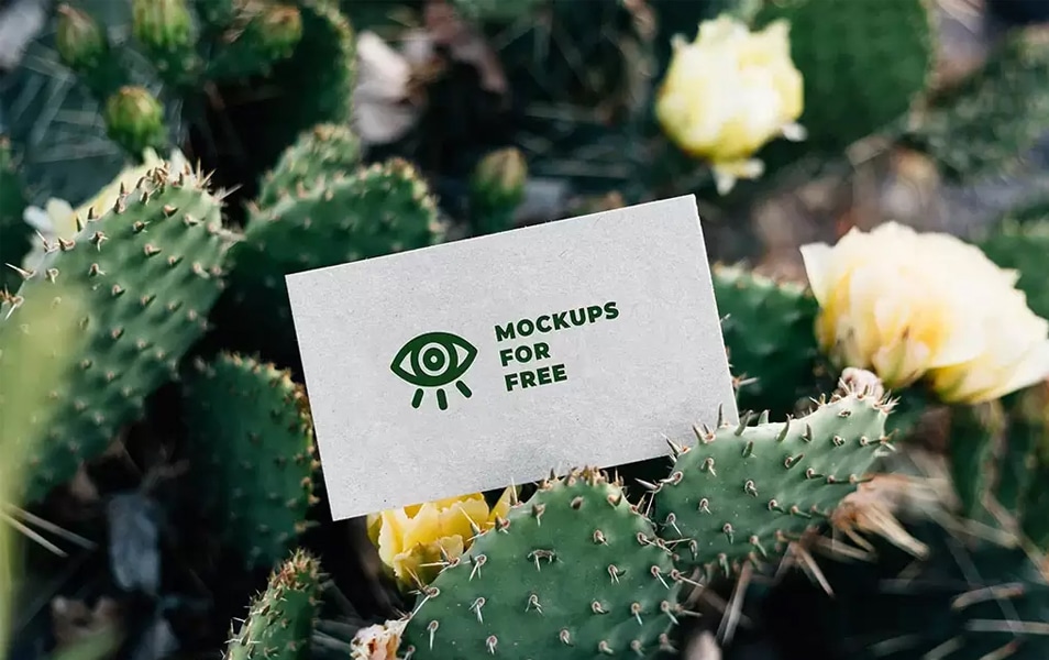 Download Business Card Among Cacti Mockup » CSS Author