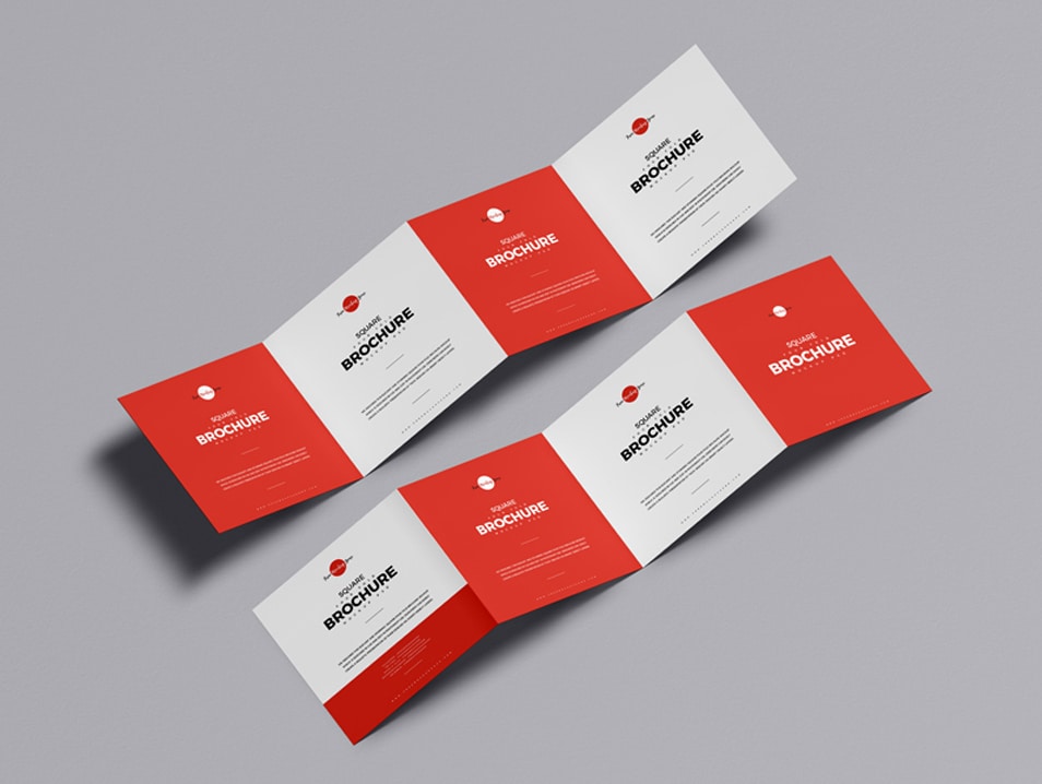 Download Free Square Four Fold Brochure Mockup » CSS Author