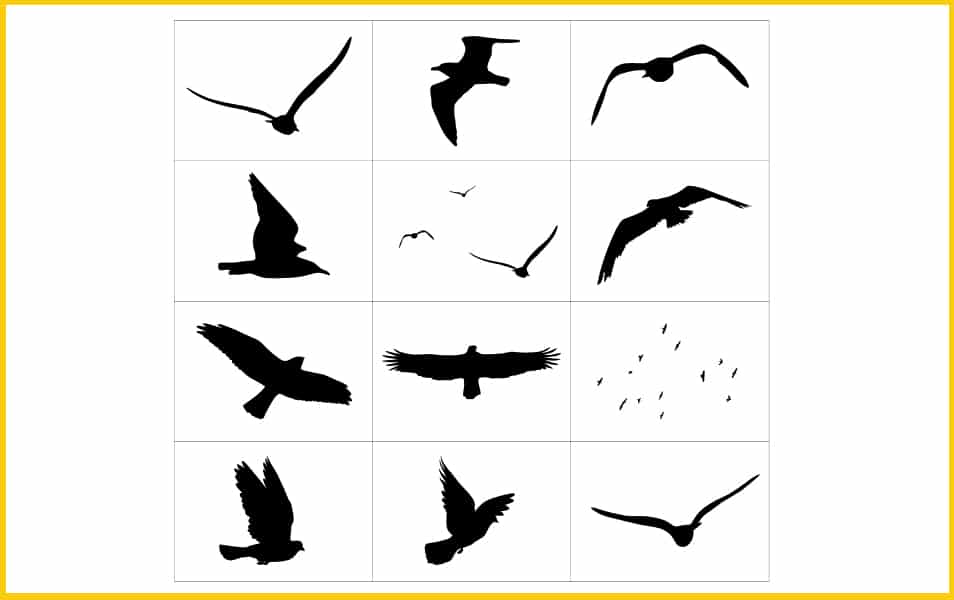 download a bird shape photoshop