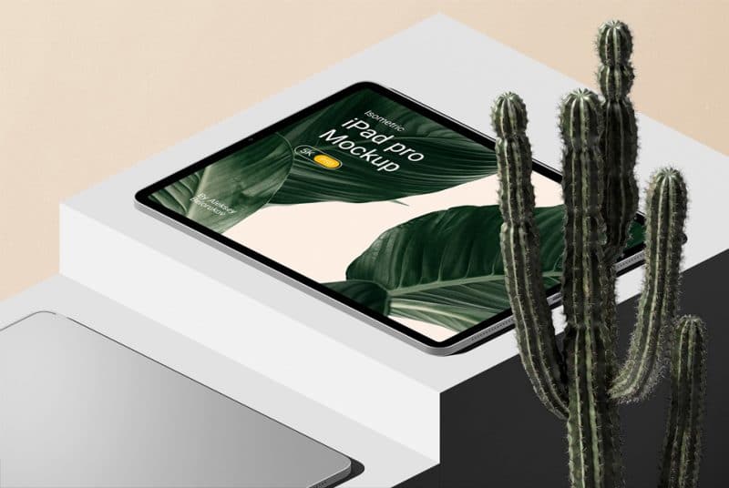 Download IPad Pro With Cactus Mockup » CSS Author