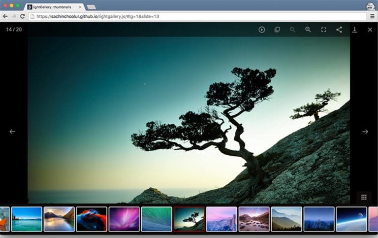 lightgallery js lightgallery js